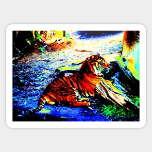 Relaxing Tiger Bright Sticker